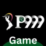 P333 Game