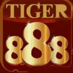 Tiger 888