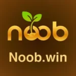noob win