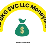 FID BKG SVC LLC MONEYLINE